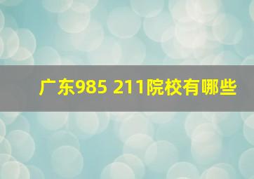 广东985 211院校有哪些